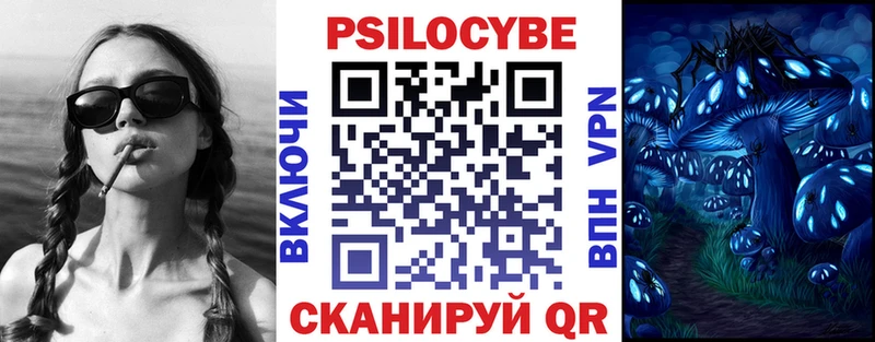 Купить где  Мирный  Псилоцибиновые грибы мицелий 